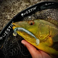 Westin Sandy Andy Weedless Jigs